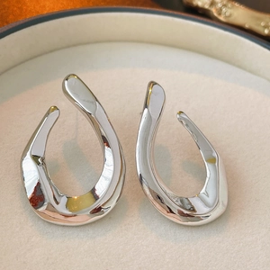 Macro shot of abstract silver earrings with a polished metallic finish in a jewelry box