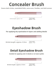 Detail view of mini peach pink makeup brushes with size specs and rose gold handles