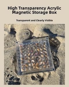 Macro shot of multi-slot clear acrylic storage box with magnetic lid for shell specimens