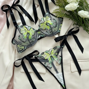 Sexy mesh lingerie set with butterfly embroidery and black ribbon accents on light green fabric