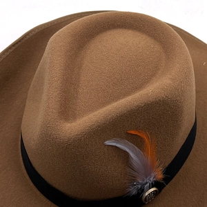 Detailed close-up of brown felt fedora featuring black ribbon and decorative feathers