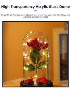 Close-up of red artificial rose with LED copper lights inside a clear acrylic dome