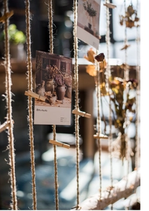 Detail of natural birch wood clips and rustic hemp rope for hanging photo displays