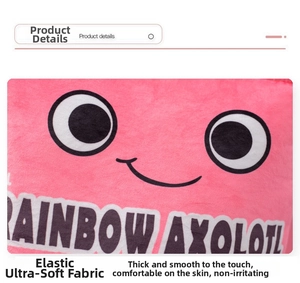Detail of pink axolotl plush showing soft fabric and Rainbow Axolotl text