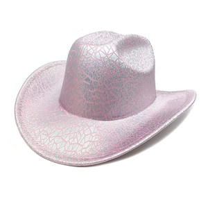 Detail of pink western cowboy hat with metallic silver crackle texture and wide brim