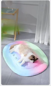 Macro detail of rainbow gradient pet cooling mat showing smooth texture and logo