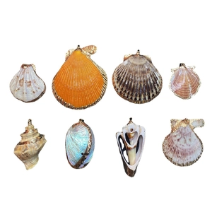 Set of 8 natural shell pendants with metal edges in various colors on white background