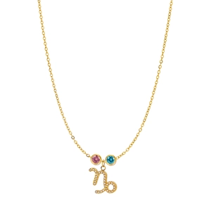 Detail of gold Capricorn zodiac pendant with sparkling pink and blue gemstones on a chain