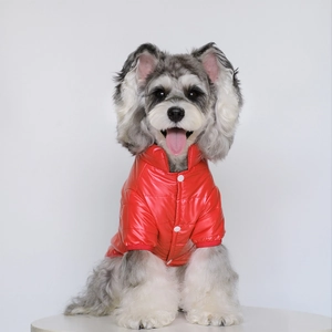 Gilet matelassé rouge brillant imperméable avec boutons pression pour petit chien