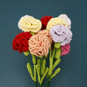 Handmade crochet carnation bouquet with colorful lace yarn flowers for Mother's Day decor