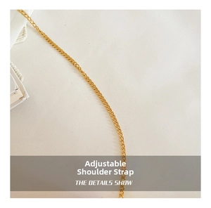 Macro shot of adjustable gold metal chain strap with fine interlocking links for handbags