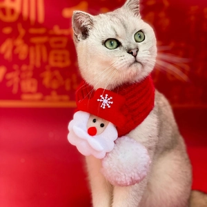 Detail of red knitted pet Christmas scarf with Santa plush and white pom-pom on white cat