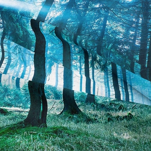 Vista dettagliata della trama fine del tessuto e del motivo della foresta sull'arazzo