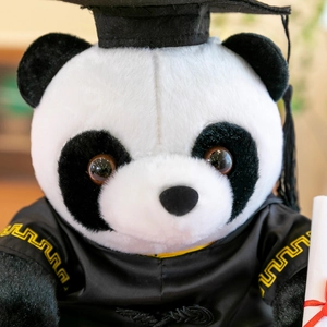 Adorable peluche panda de remise de diplômes portant un chapeau et une robe de doctorat