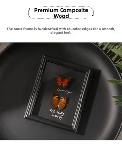 Detailed 45-degree angle of dual butterfly specimens in a black rounded wooden frame