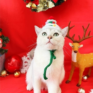 Macro shot of a Christmas tree style knitted pet hat with red pompom and star detail
