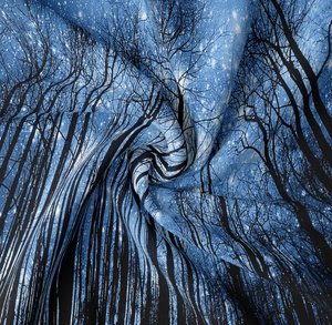 Detailed view of dark blue starry sky and forest silhouette printed fabric texture