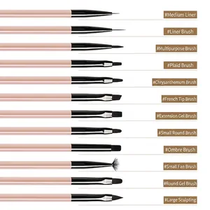 12-piece professional nail art brush set with pink handles and various functional tips