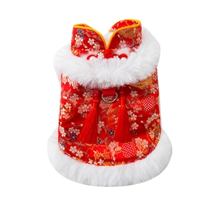 Red festive dog Tang suit with gold floral embroidery and white faux fur trim