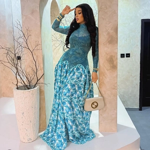 Women Abstract Print Maxi Dress Mesh Patchwork High Neck Slim Fit Long Sleeve A-Line Elegant Streetwear Long Dress