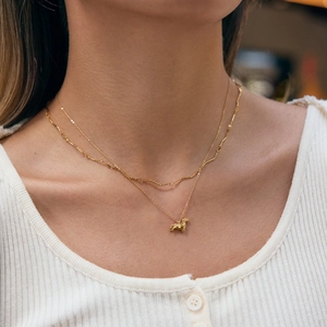 Elegante 18K vergulde dubbellaagse halsketting met schattige teckel hanger voor dames