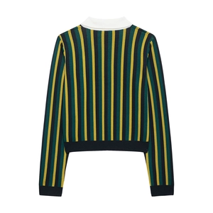 Detailed back view of striped knit polo shirt with green yellow and blue vertical patterns