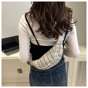 Detail of ethnic style woven saddle bag showing textured black and white striped pattern