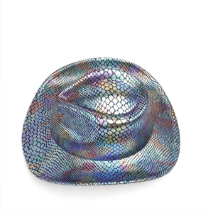 Detail shot of iridescent fish scale patterned western cowboy hat with curved brim.