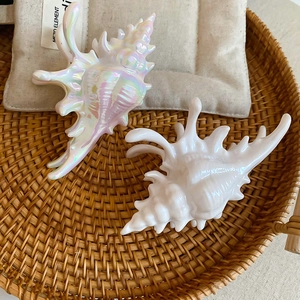 Detailed view of iridescent pearl and white seashell hair claws on a woven tray