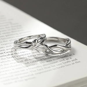 Detail of sun and moon couple rings with silver finish on an open book background