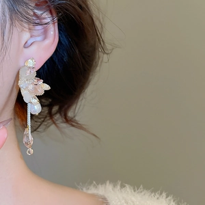 Macro view of crystal butterfly earrings with pearl drops and long tassel chains