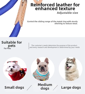 Blue braided dog P-chain leash with leather reinforcement for small to large dogs