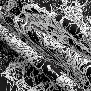 Gros plan détaillé du tissu à imprimé crâne monochrome montrant texture et plis doux