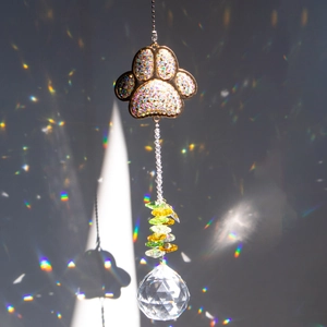 Close-up of crystal paw print prism and glass ball reflecting vibrant rainbow light spots