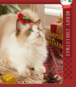 Détail d'un bonnet de Noël rouge à paillettes pour chat avec cordon ajustable