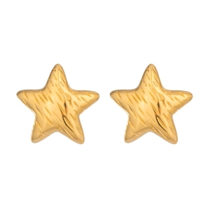 Golden stainless steel star earrings with brushed texture in a minimalist fashion style