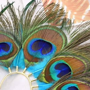 Macro shot of colorful peacock feathers on golden metal base for vintage ear cuff