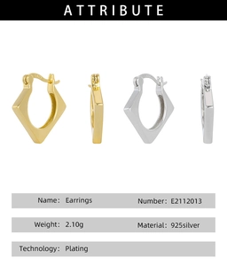 Close-up of S925 silver square earrings with plating detail and hallmarked logo
