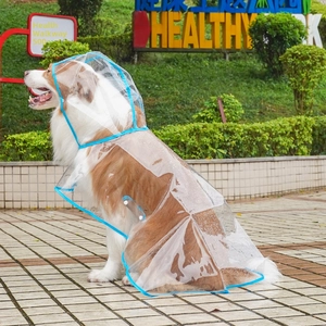 Close-up of a clear waterproof pet raincoat with blue edges and snap closure on a dog
