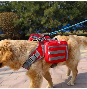 Close-up of red pet tactical backpack on Golden Retriever with dual storage pockets