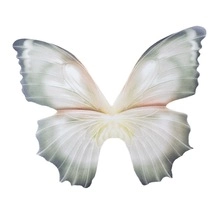Détail macro d'une broche coquelicot en résine avec pétales translucides et fermoir