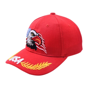 Close-up of USA embroidery and bald eagle motif on the red baseball cap brim