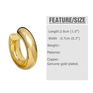 Detailed view of gold plated clip-on earrings with size 2.6cm by 0.7cm measurements