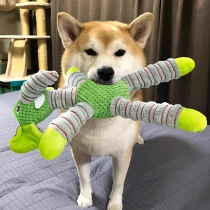 Dog playing with a textured green plush squeaky toy in a cozy living room setting