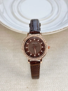 Detail of rose gold watch featuring sparkling diamond bezel and brown leather strap