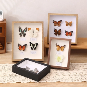 Butterfly Specimen Display Frame Shadow Box Wood Grain Wood Decorative Hollow Desktop Wall Hanging Ornament