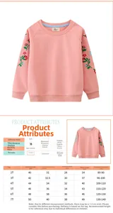 Size chart for kids embroidered pullover with detailed measurements and fit index