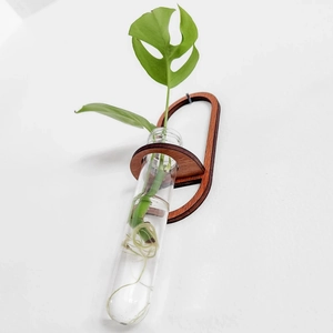 Close-up of wall-mounted glass test tube vase with wooden holder for plant propagation