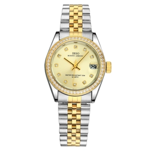 Classic quartz watch with two-tone metal strap and luxury crystal bezel for women