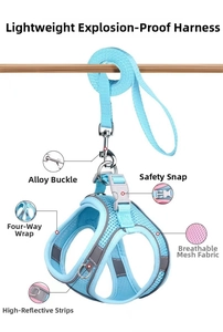 Detail view of breathable blue pet harness with reflective strips and alloy buckles